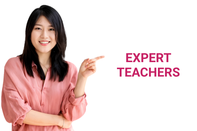 Learn from expert teacher
